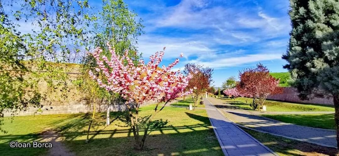 The View1 Apartment Alba Iulia Ngoại thất bức ảnh